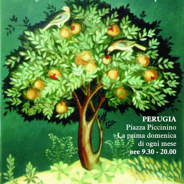 Umbria Terra Viva